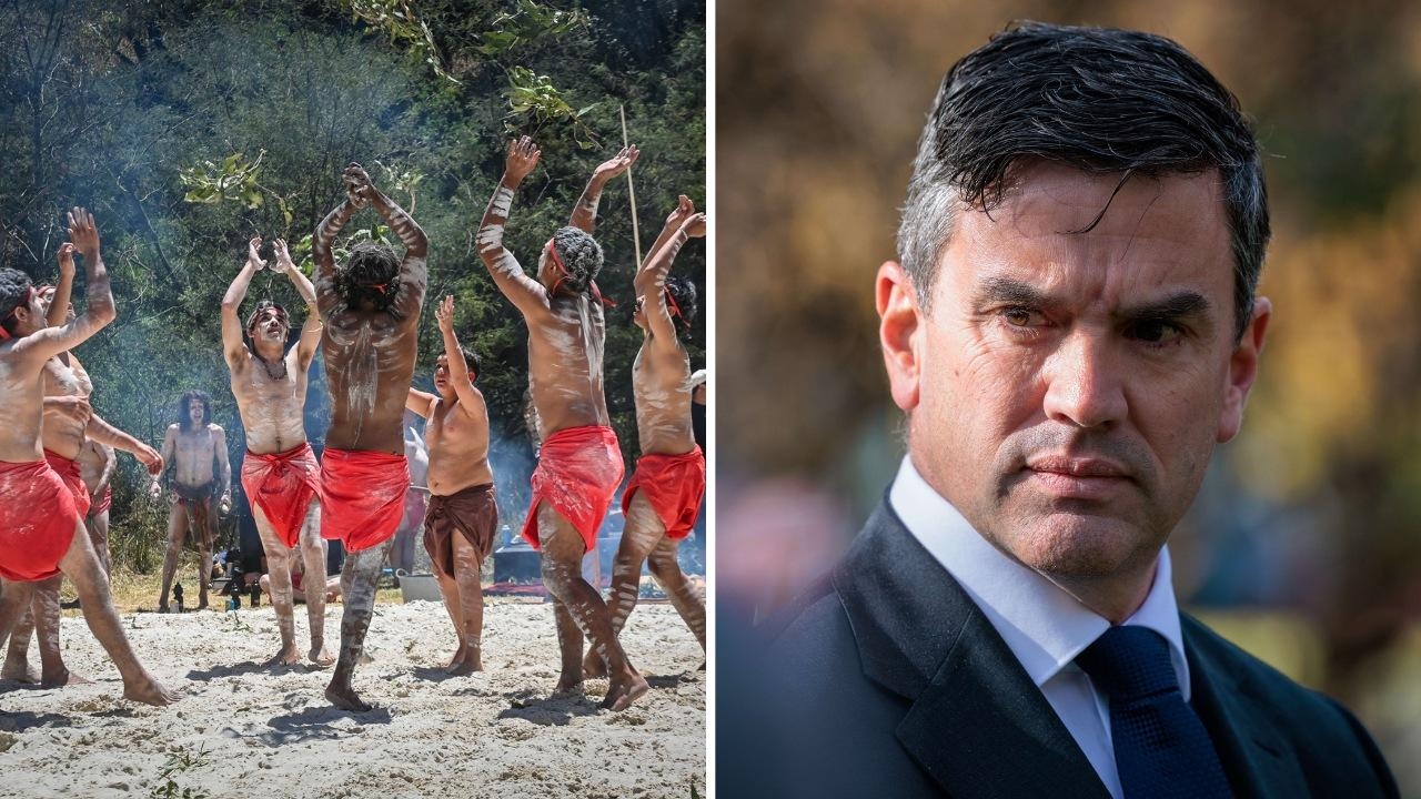 Libs will axe Victorian Voice to parliament