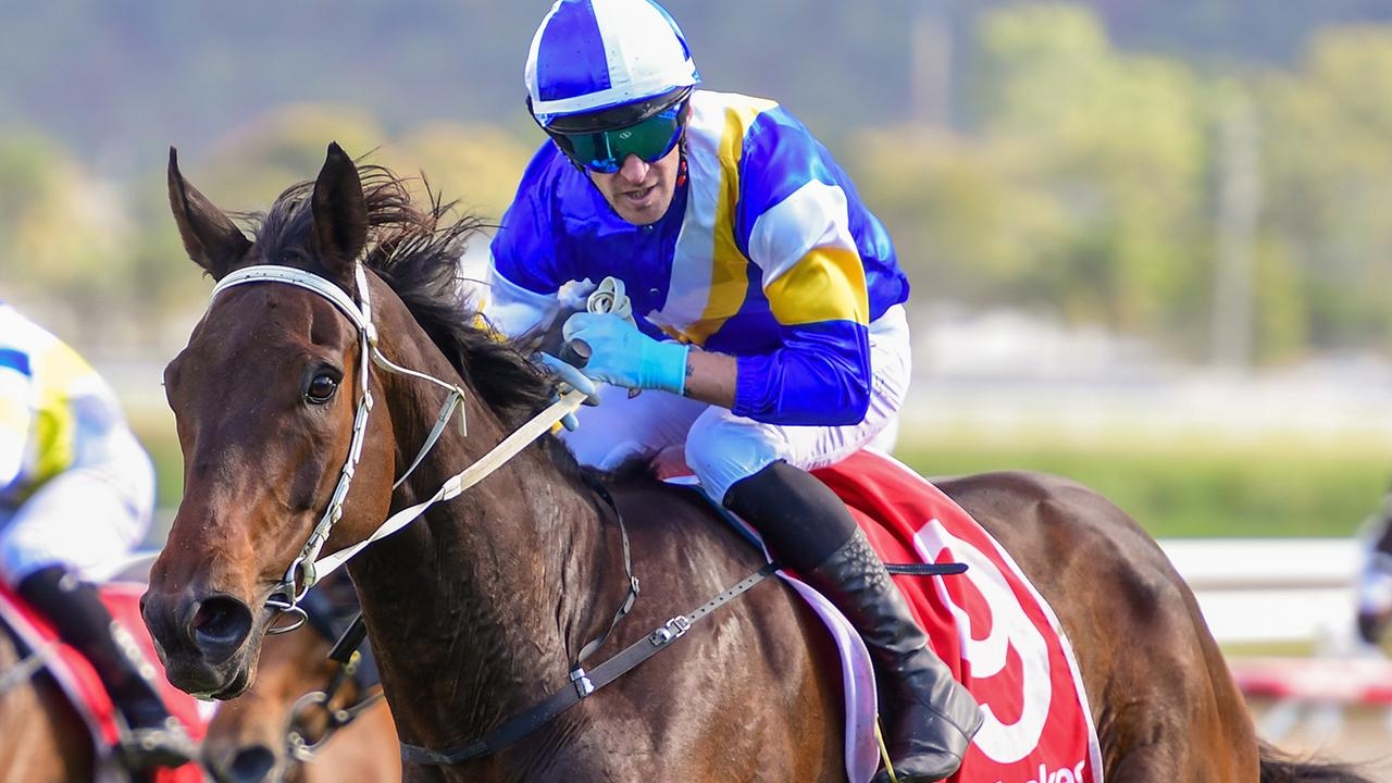 Hobby trainer John Dann savours last-to-first Townsville Cup triumph