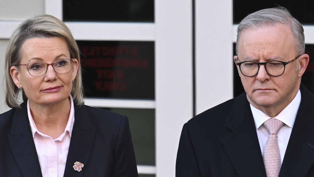 Sussan Ley vows to hold ‘government to account' as parliament returns