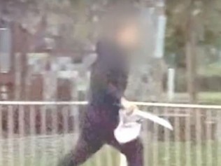 'Put that Rambo blade in his chest': Vicious lyrics boast of violence in rap song by teen offender behind St Kilda machete attack