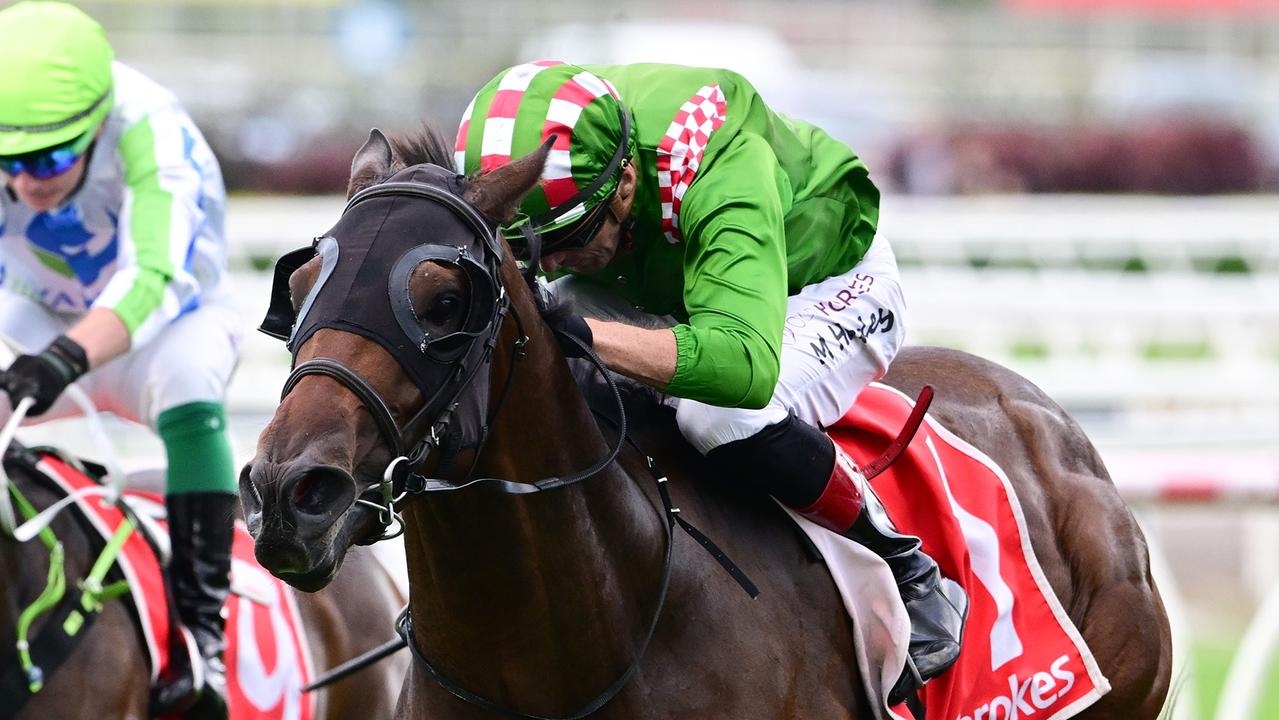 Cool Archie chasing fourth straight win in BRC Sires' Produce Stakes as he follows Sizzling path to Group 1