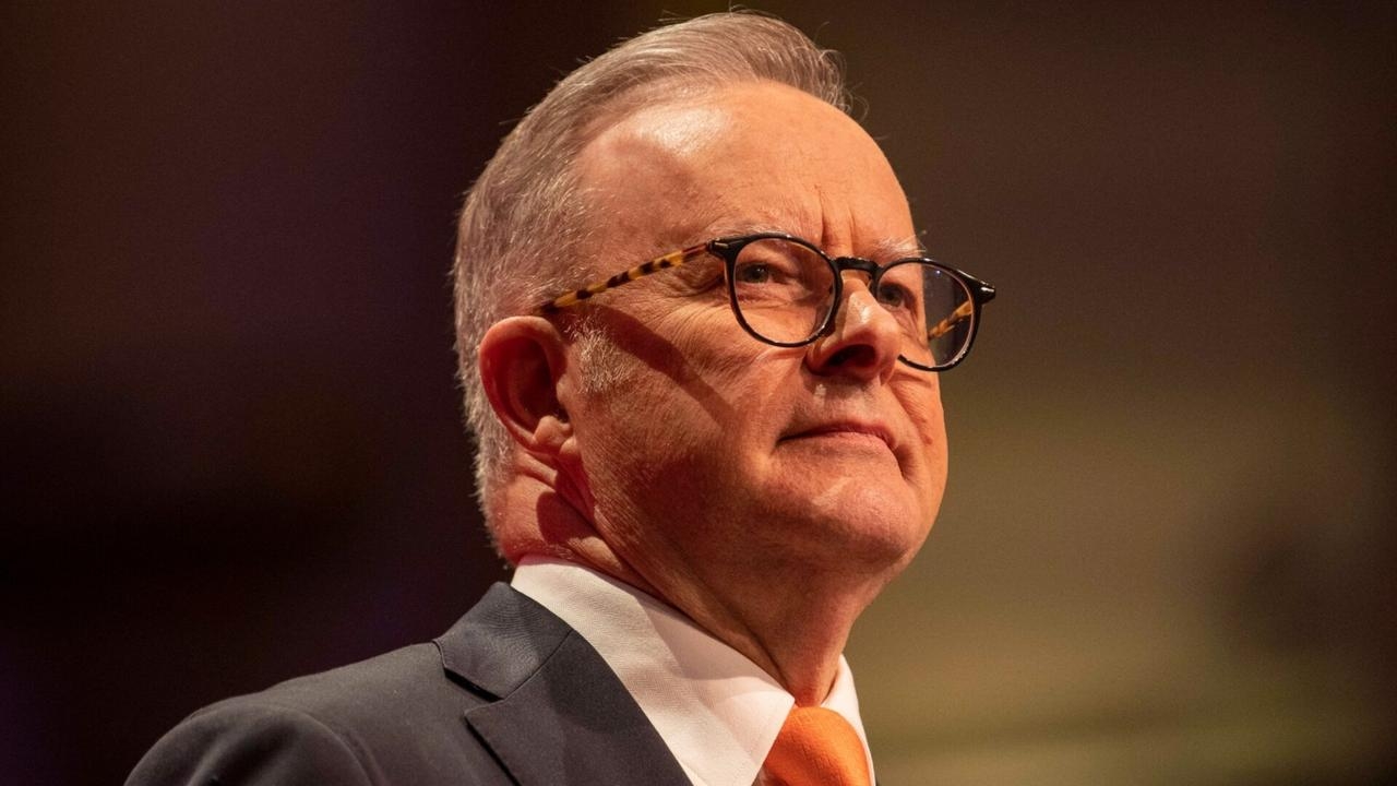 Albanese securing Trump meeting shows pro-US leadership: Joe Hildebrand