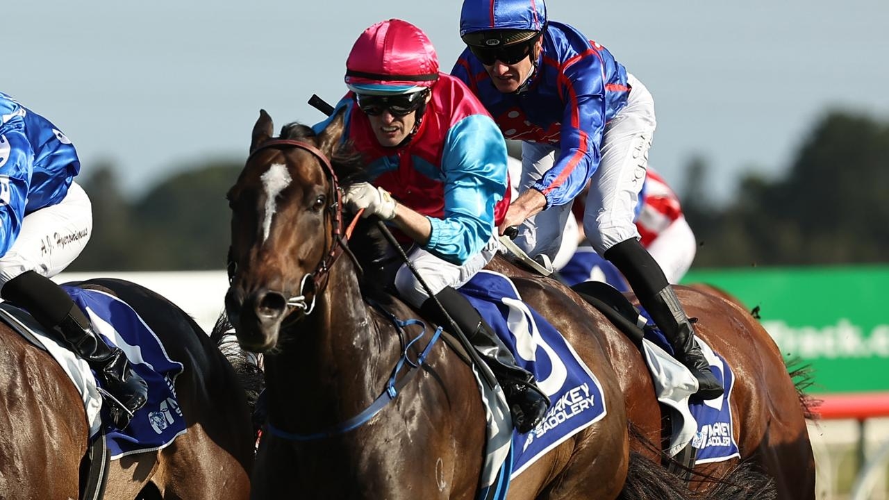 Matthew Smith focused on Everest slot with improving sprinter Headwall