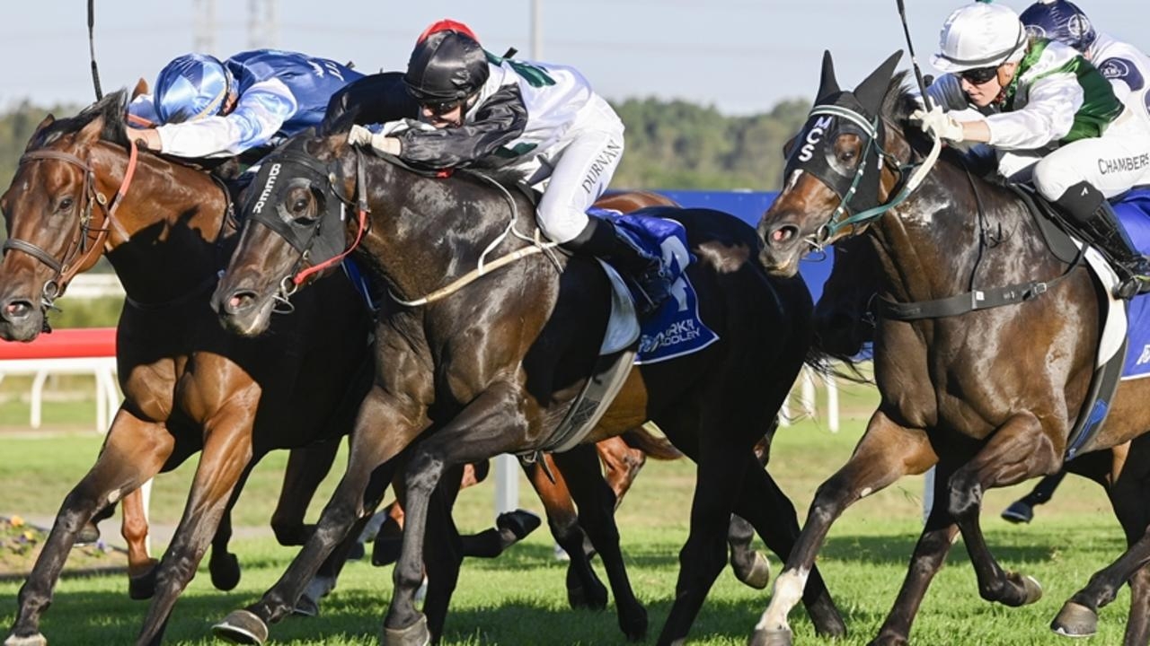 Newcastle preview: Ideal conditions has Los Padres well placed to start his campaign with consecutive victories