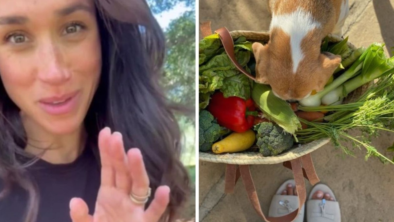 Royal fans point out awkward discrepancies in Meghan Markle's garden haul