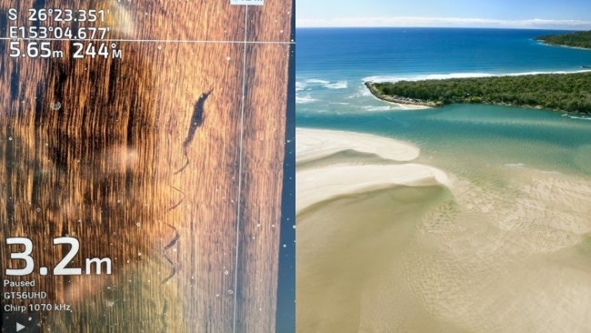 Locals stunned after crocodile reportedly sighted along a spit in Noosa, Queensland, sparking official investigation