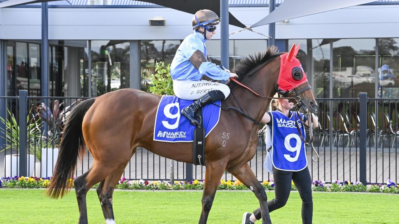 Wagga, Muswellbrook best bets, inside mail for Friday, May 2, 2025