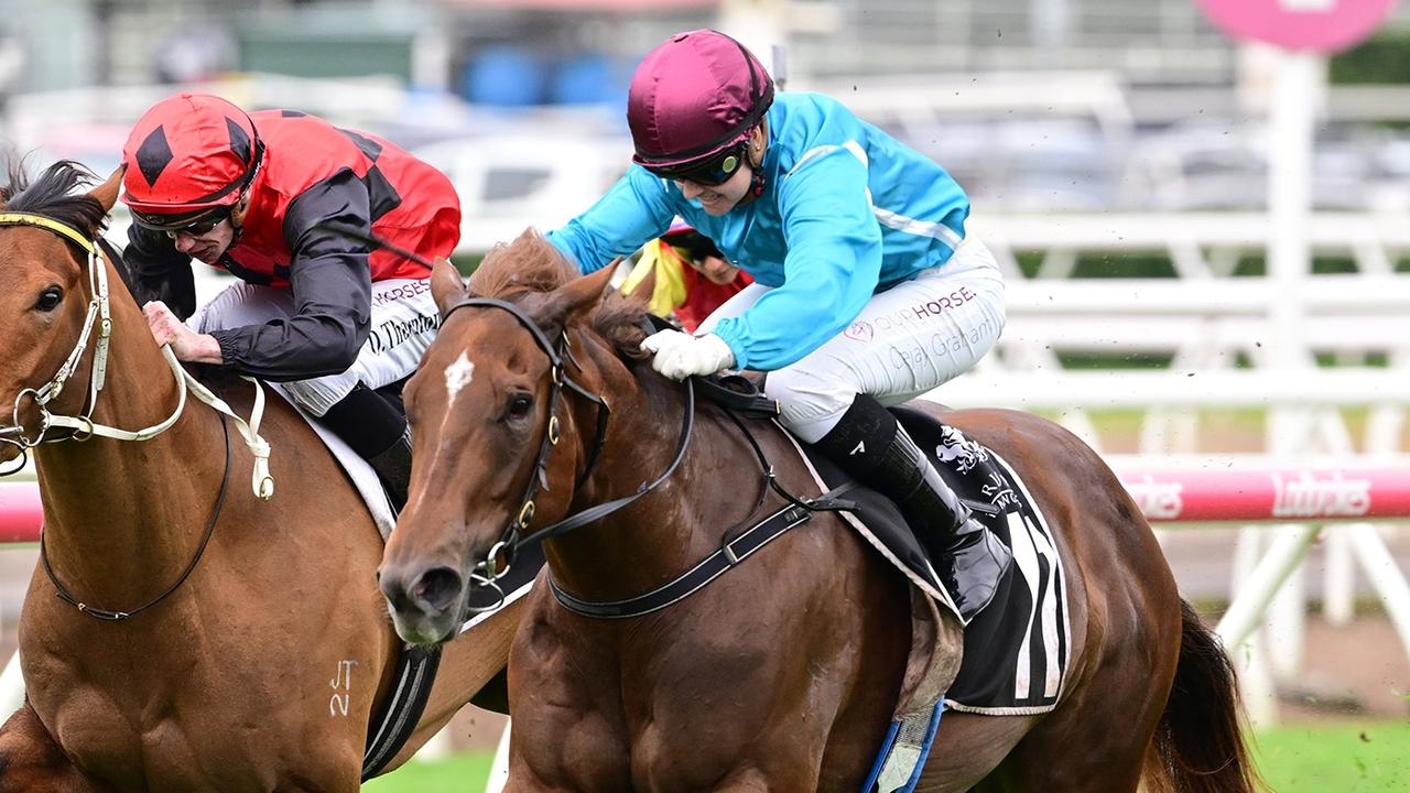 Ex-Queensland cricketer Damien MacKenzie bowled over by win of Tony Gollan filly Foreign Press at Eagle Farm