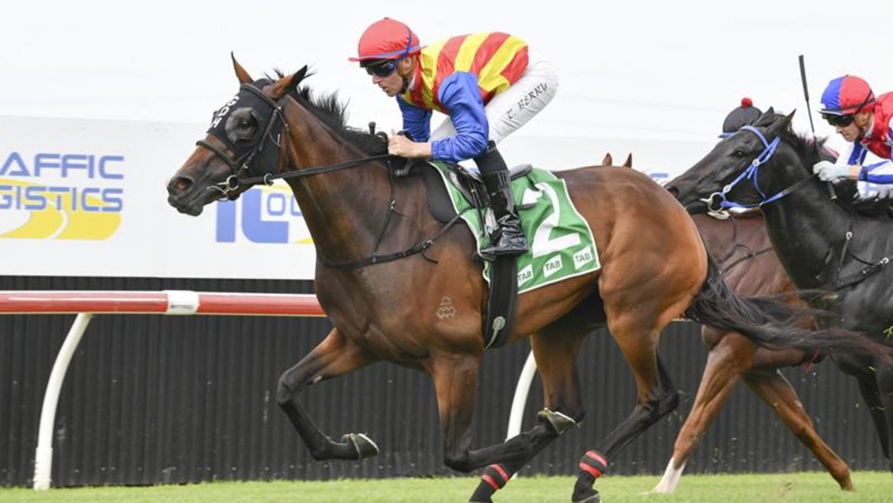 Trainer Greg Hickman to saddle up Private Legacy in 2025 Lord Mayor's Cup at Rosehill Gardens