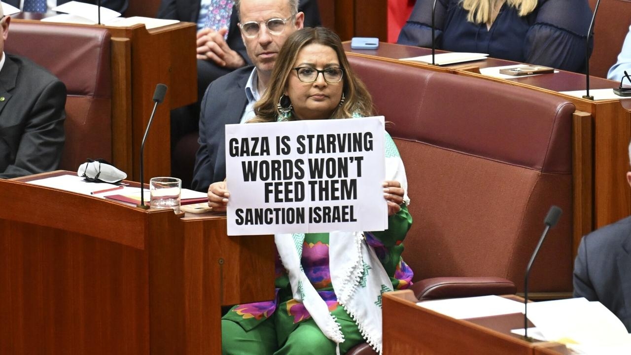 Senate moves to discipline Mehreen Faruqi for anti-Israel protest
