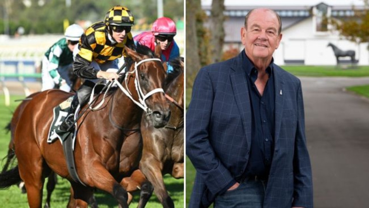 How Joliestar's owner went from nothing to selling his business for $660m and buying Cambridge Stud