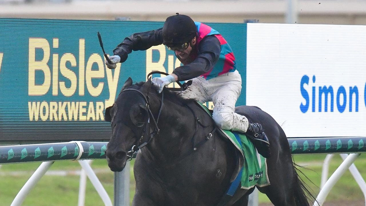 Blake Shinn and Tony Gollan will continue their highly successful partnership in the Doomben Cup