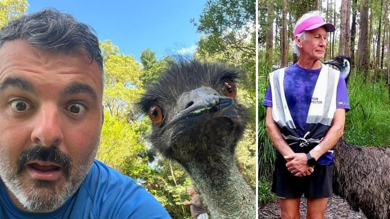 Sunshine Coast community rallies after petition calls for emu to be removed from wildlife park