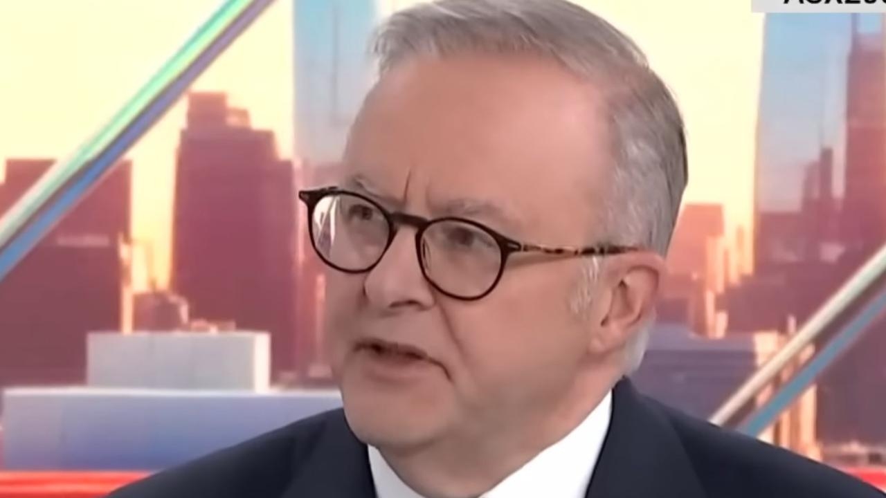 Albanese denies Palestinian deal amid Hamas support claims