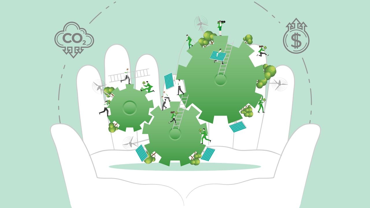 Green skills are the new CFO imperative