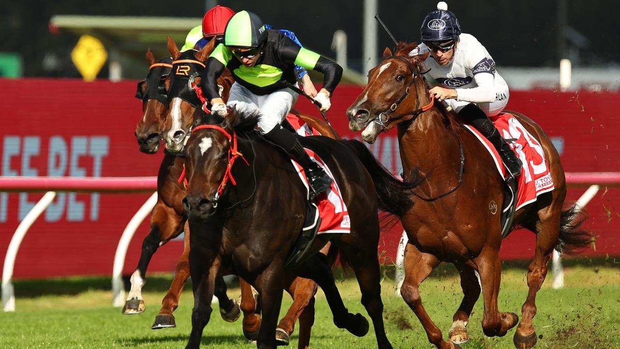 Private Eye's little brother King's Secret proves his mettle with a stellar performance at Rosehill Gardens