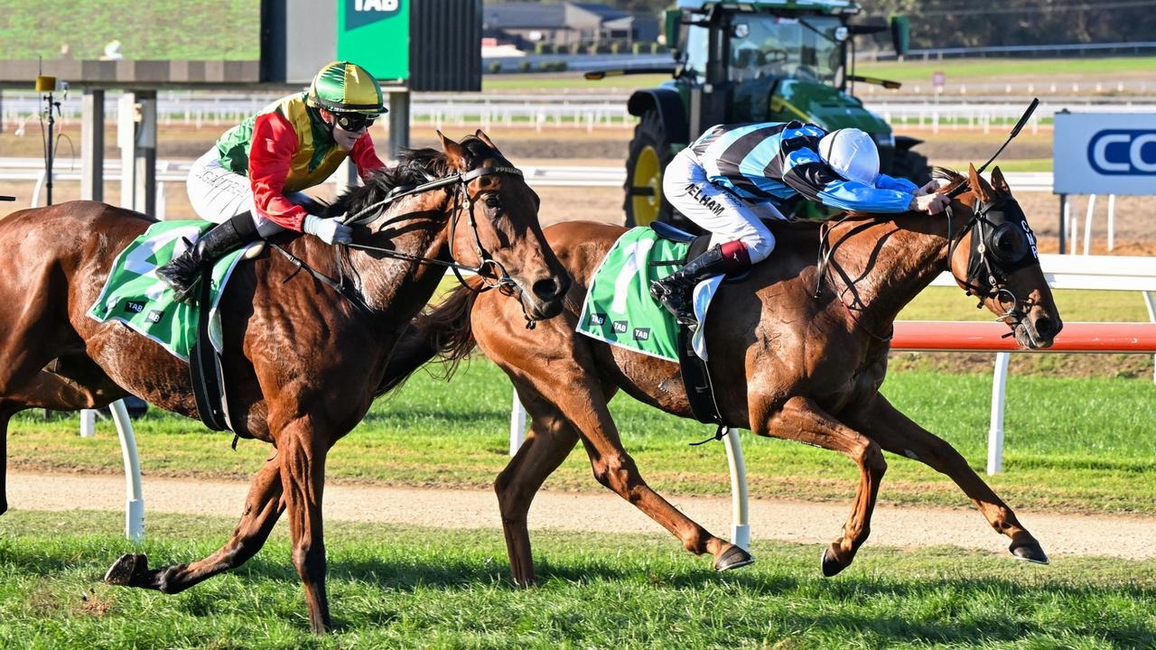 Ciaron Maher ends quiet carnival on high note with first Warrnambool Cup success