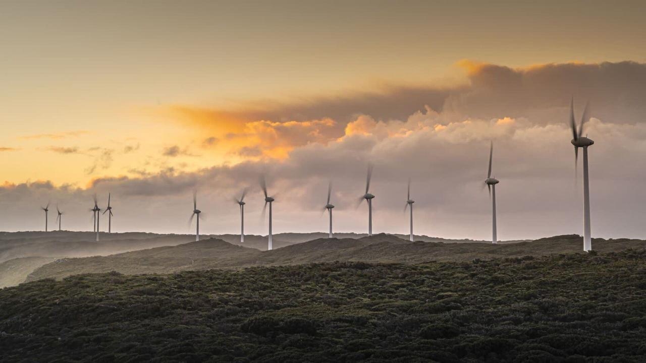 ‘Faces of Net Zero': Documentary reveals farmers' struggles under renewable rollout