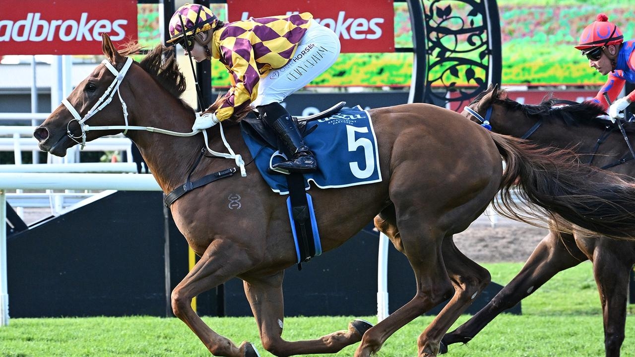 Exciting young Queensland filly Alpha Sofie being transferred to Peter Moody