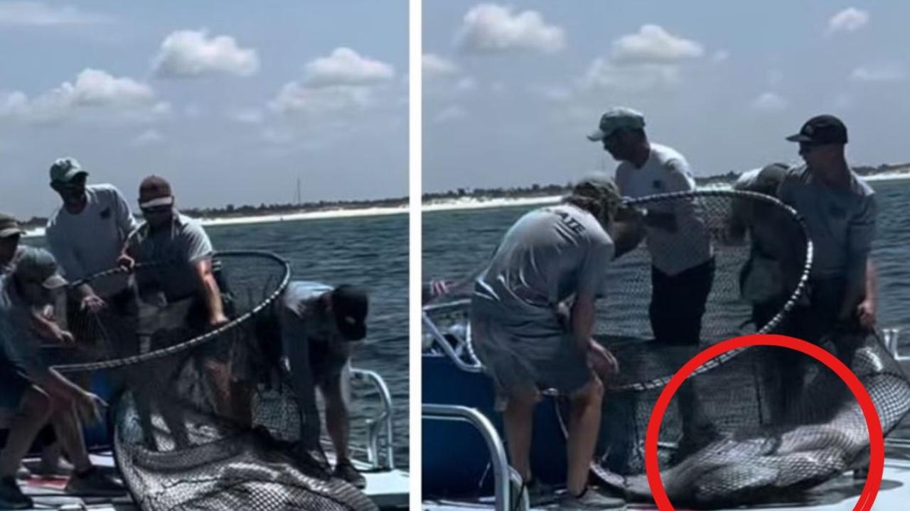 Tourists outrage over sight on board fishing boat in Florida