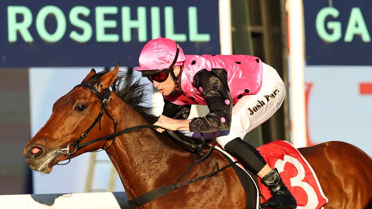 Tulloch Lodge import Elamaz leaves bookies reeling