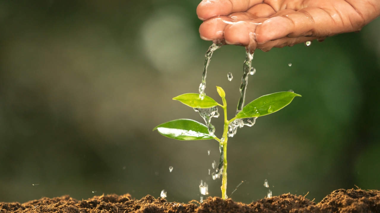 ASX Resources Quarterly Wrap: Lithium green shoots despite market pull-back