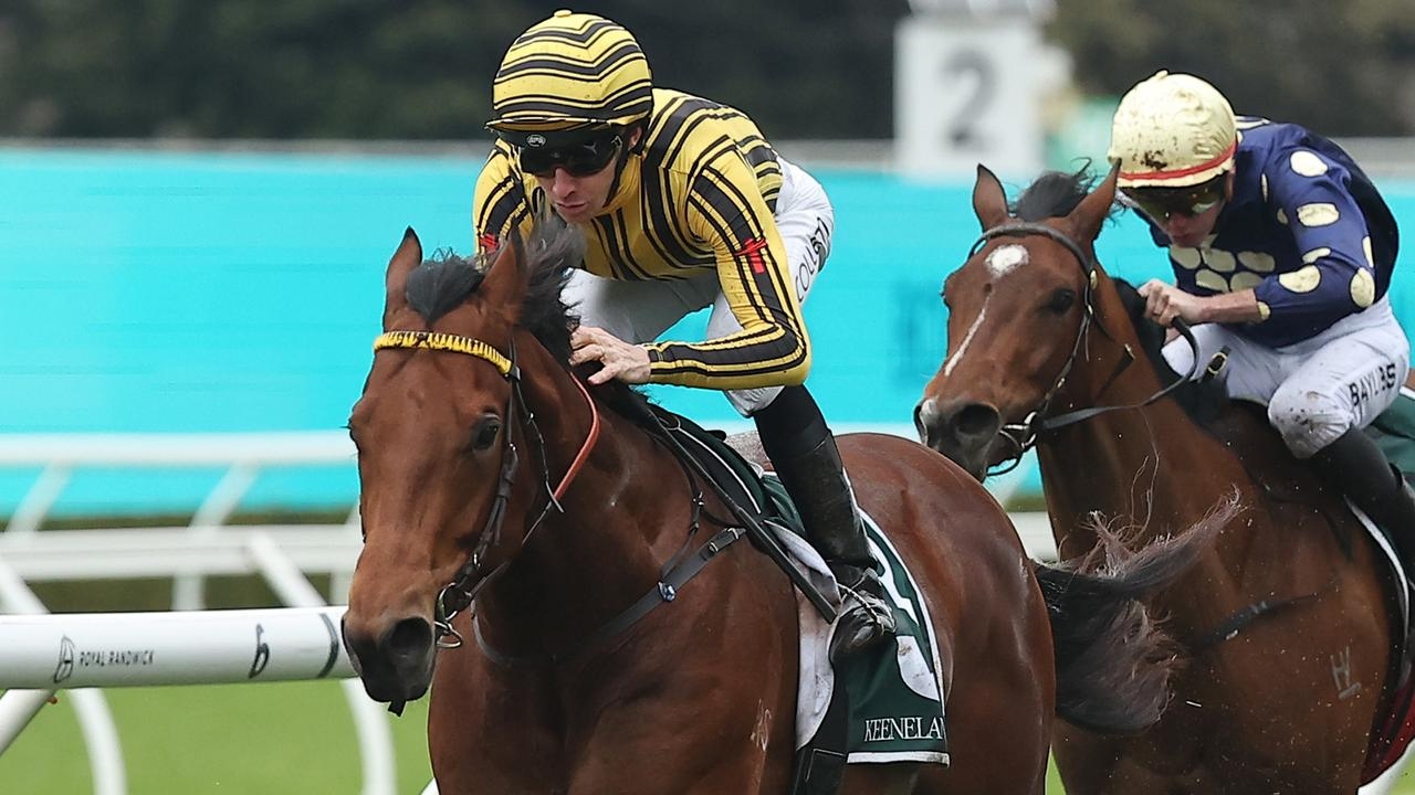 Nashville Jack's jump in grade for 2025 The Rosebud holds no fears for trainer Brad Widdup