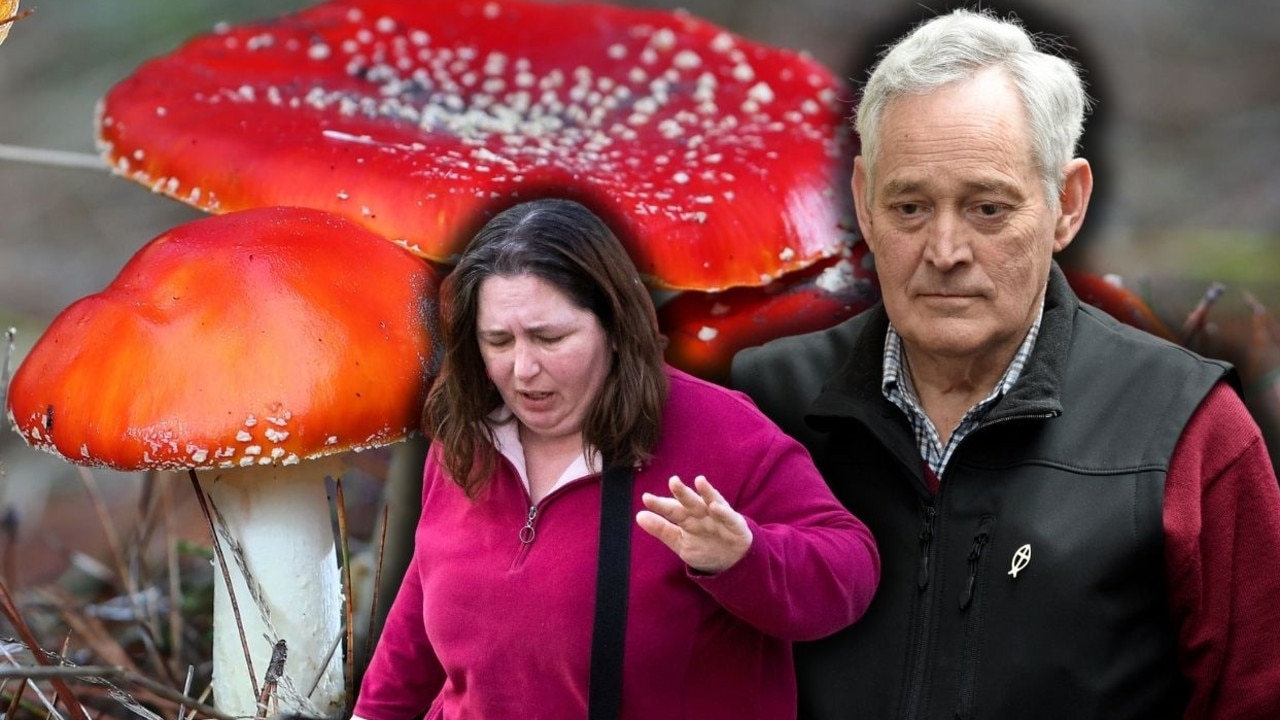 Mushroom Cook Erin Patterson's murder trial: Doctor says how close Ian Wilkinson came to death