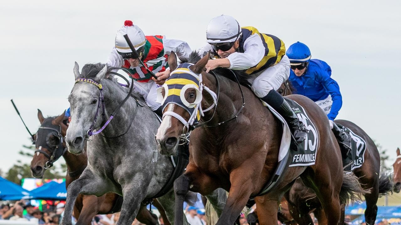 Queensland Derby delay to benefit Statuario but not so much Femminile