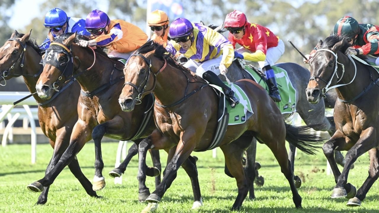 Kembla preview: Monte Veebee ready to crack it for his first win
