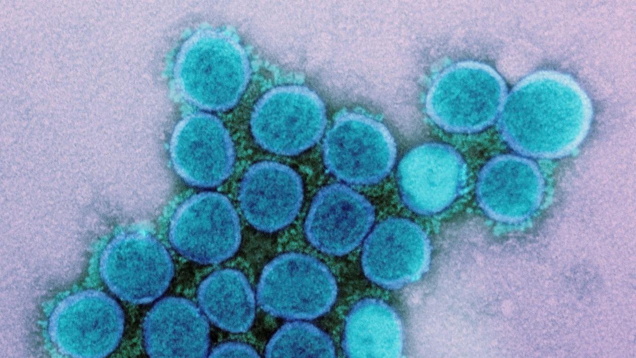 Highly-infectious new Covid strain spreads to US as vaccine advice changes