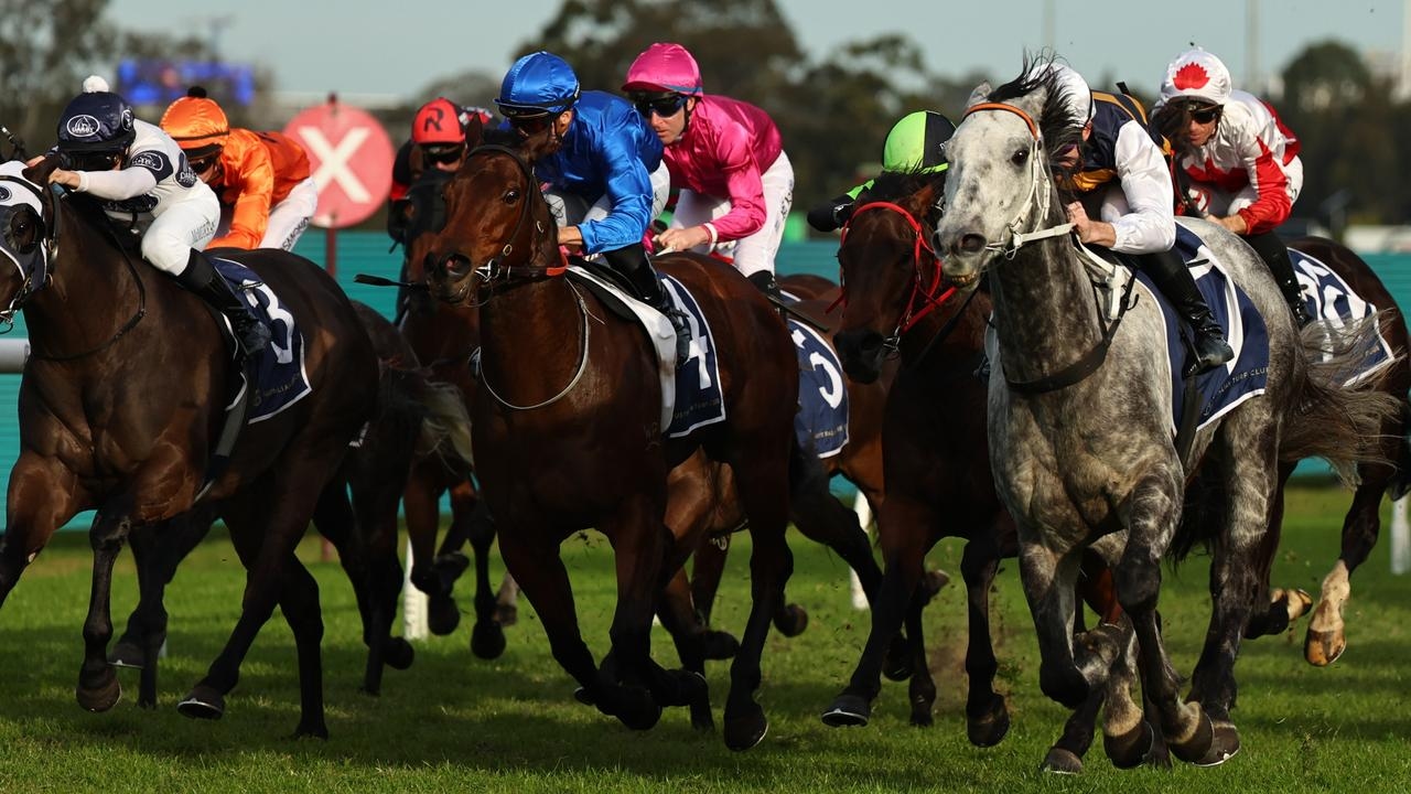 Josh Parr keeps his form surge going as Cloudland storms home for another first-up win at Rosehill