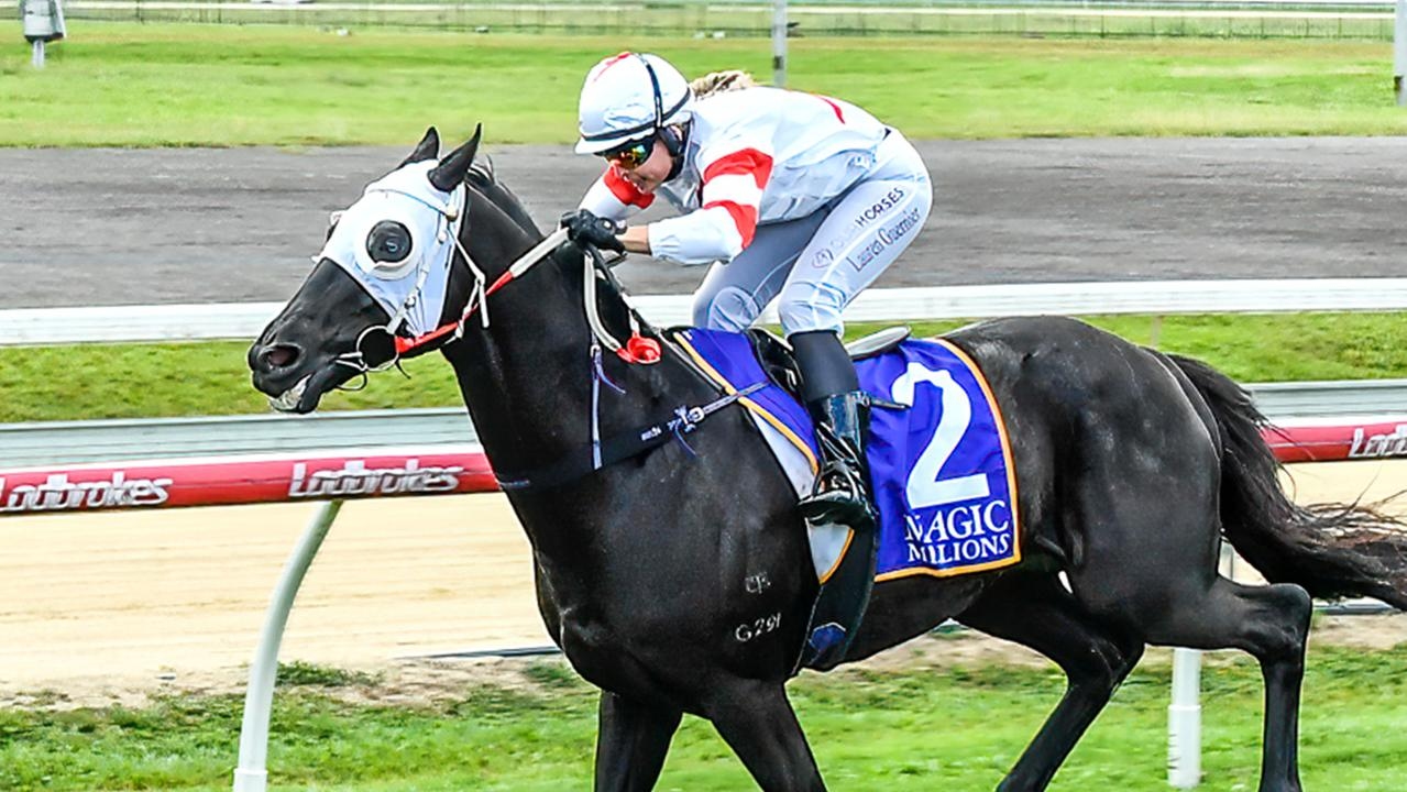 Stable favourite Olympic Korchnoi will run in Cairns Amateur Cup for trainers Trevor and Peter Rowe