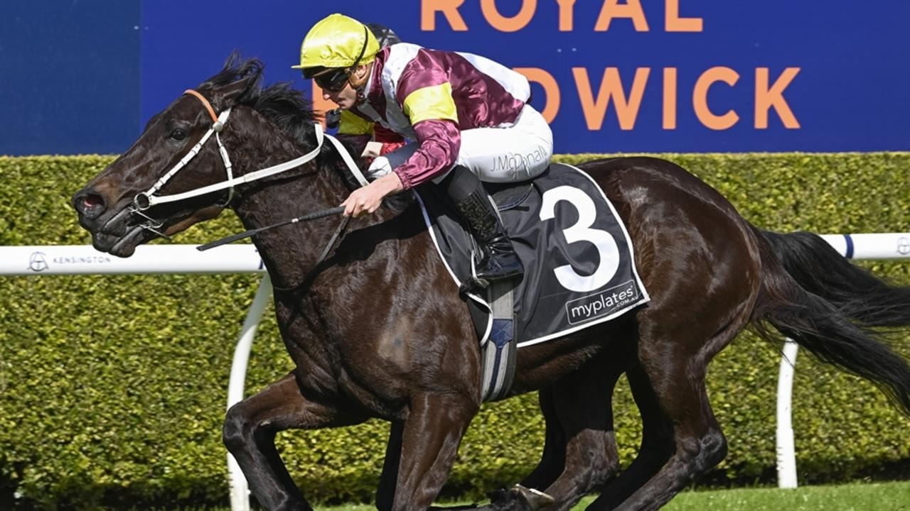 Promising filly Cantiamo made a winning return at Randwick Kensington on Wednesday with Kris Lees expecting bigger things to come