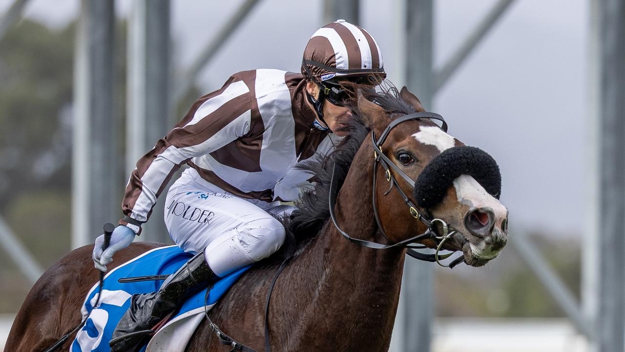Ethereum Girl cruises to victory in Sires' Produce Stakes at Morphettville