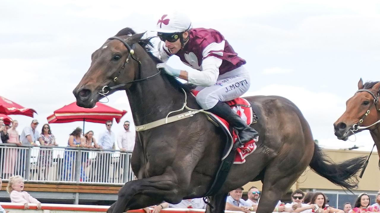 Limited options force trainer Cindy Alderson to run Ruakaka Raider at Sandown on Saturday