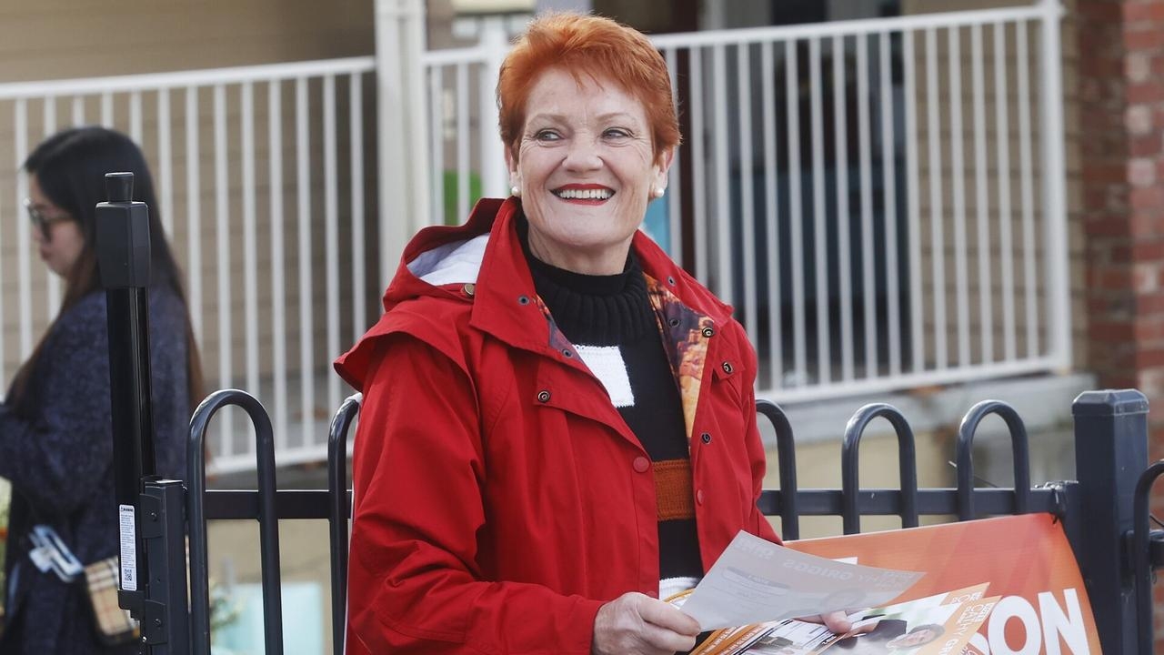 ‘Deadset getting rid of net zero': Pauline Hanson on ‘common sense' policies