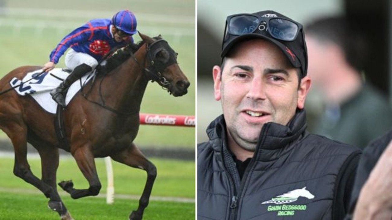 Anahita chases Flemington comeback win for new trainer Gavin Bedggood