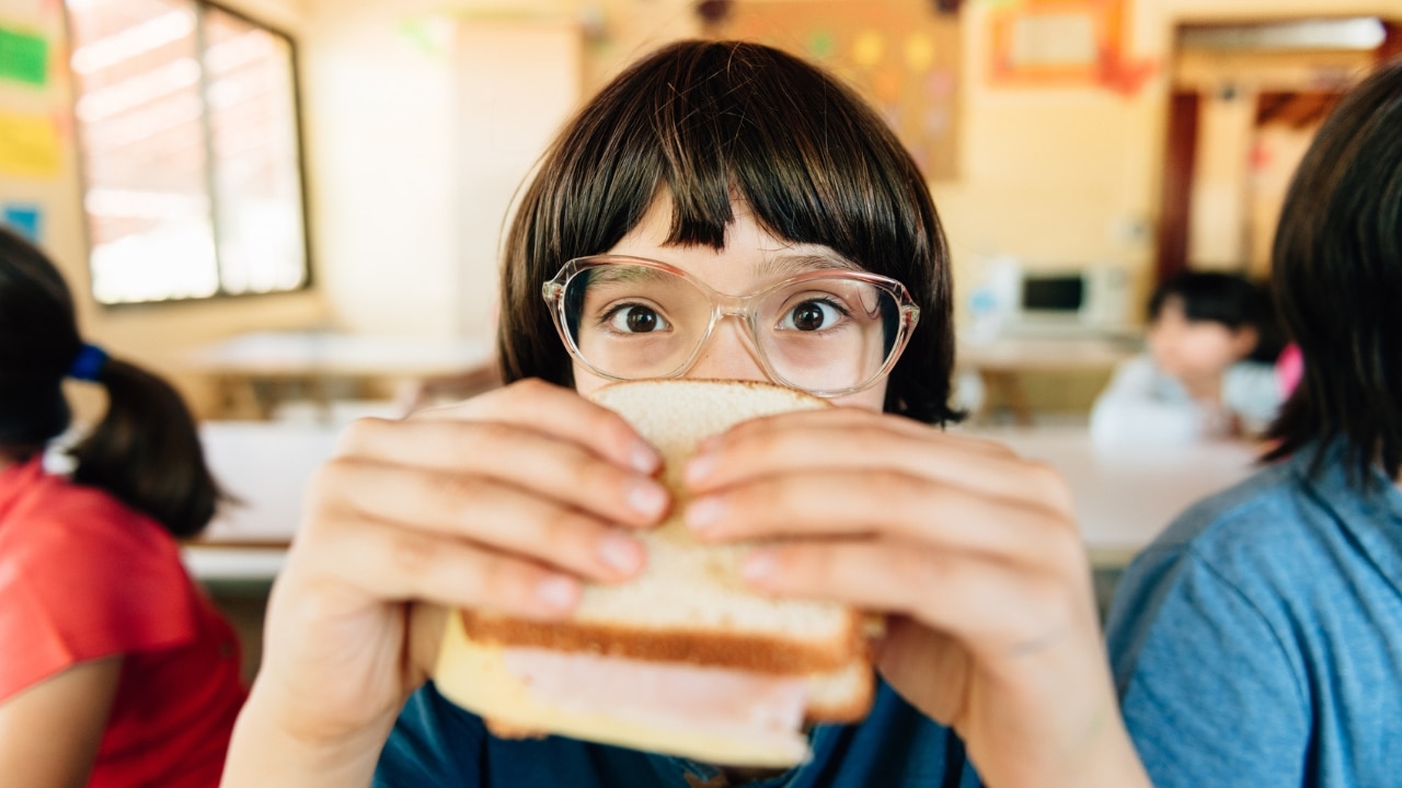South Australia moves forward with ham sandwich ban and people aren't happy