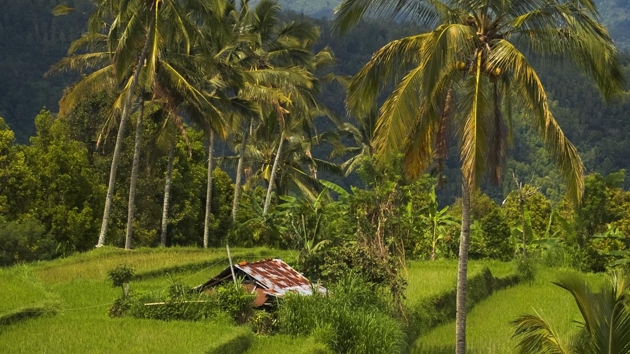 Video shows Indonesian police arresting Australian man in Bali