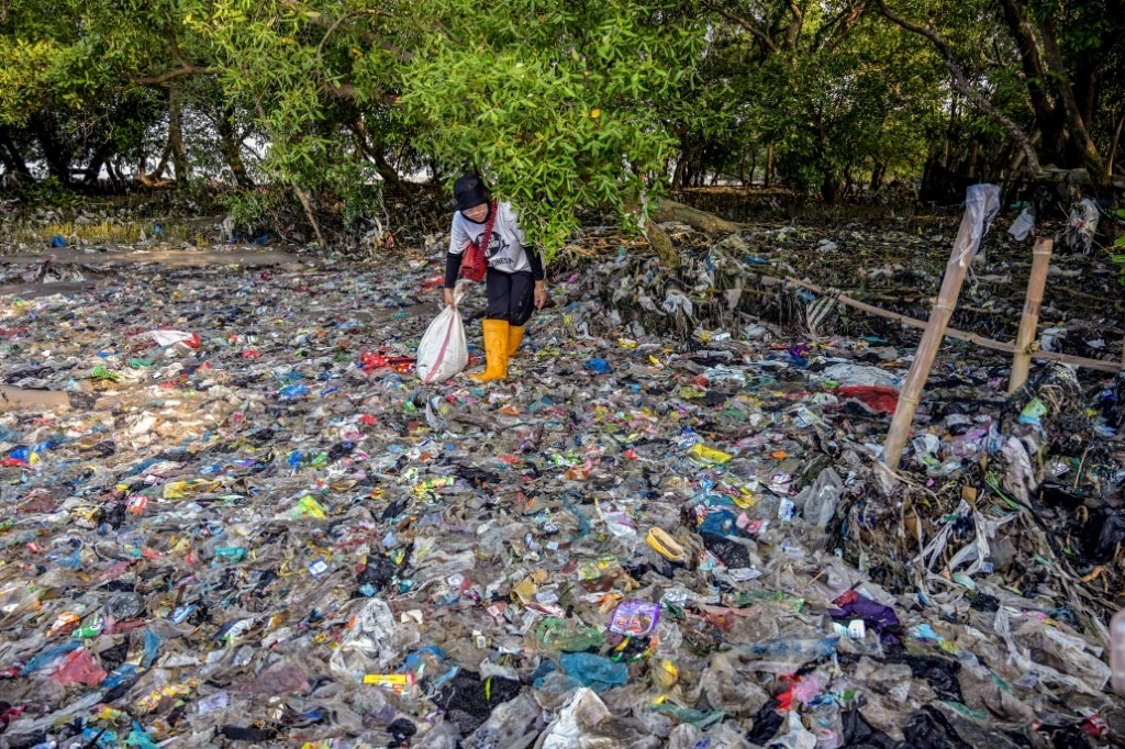 What are all these microplastics doing to our brains?