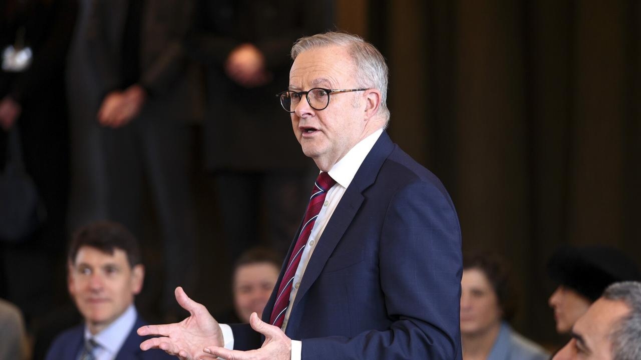 ‘Not only wrong, it's a mistake': Albanese's Palestine recognition labelled ‘nonsense'
