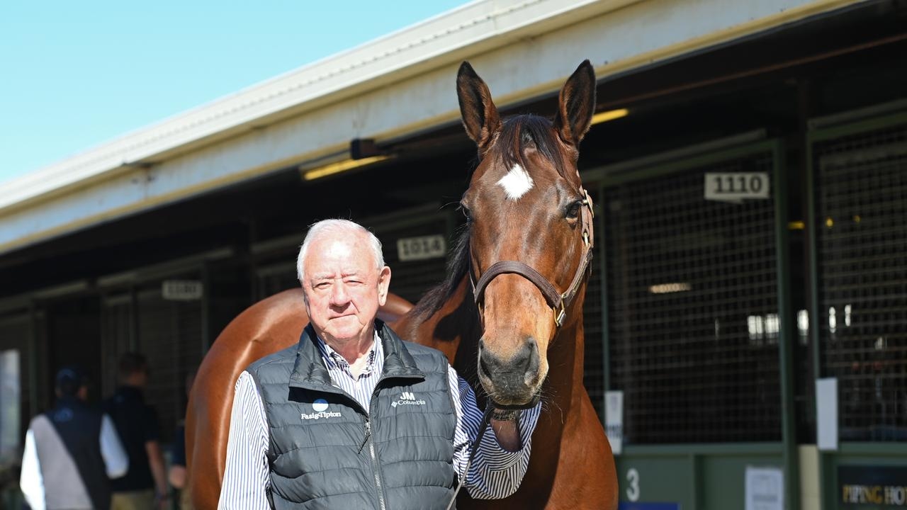 Beaumont Newcastle preview: Muir motors on with promising filly