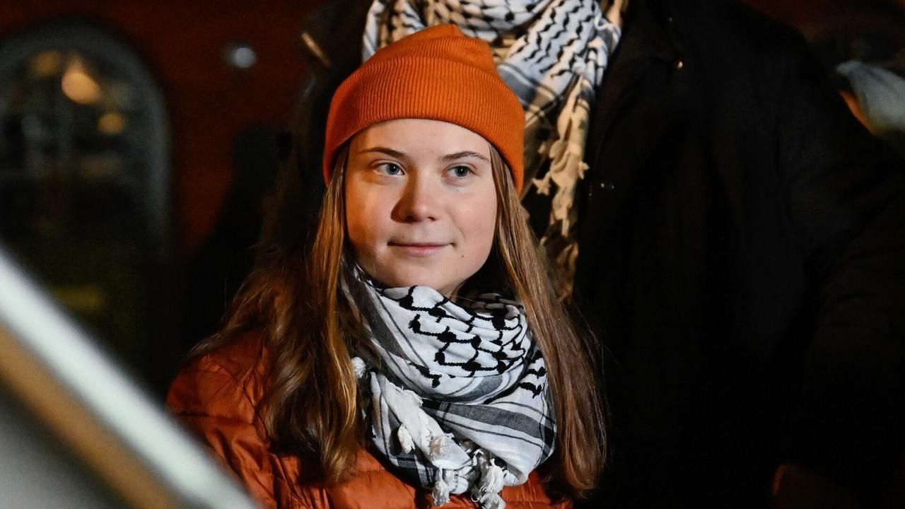 ‘Ship of fools': Greta and other ‘misguided' activists slammed for inability to face reality