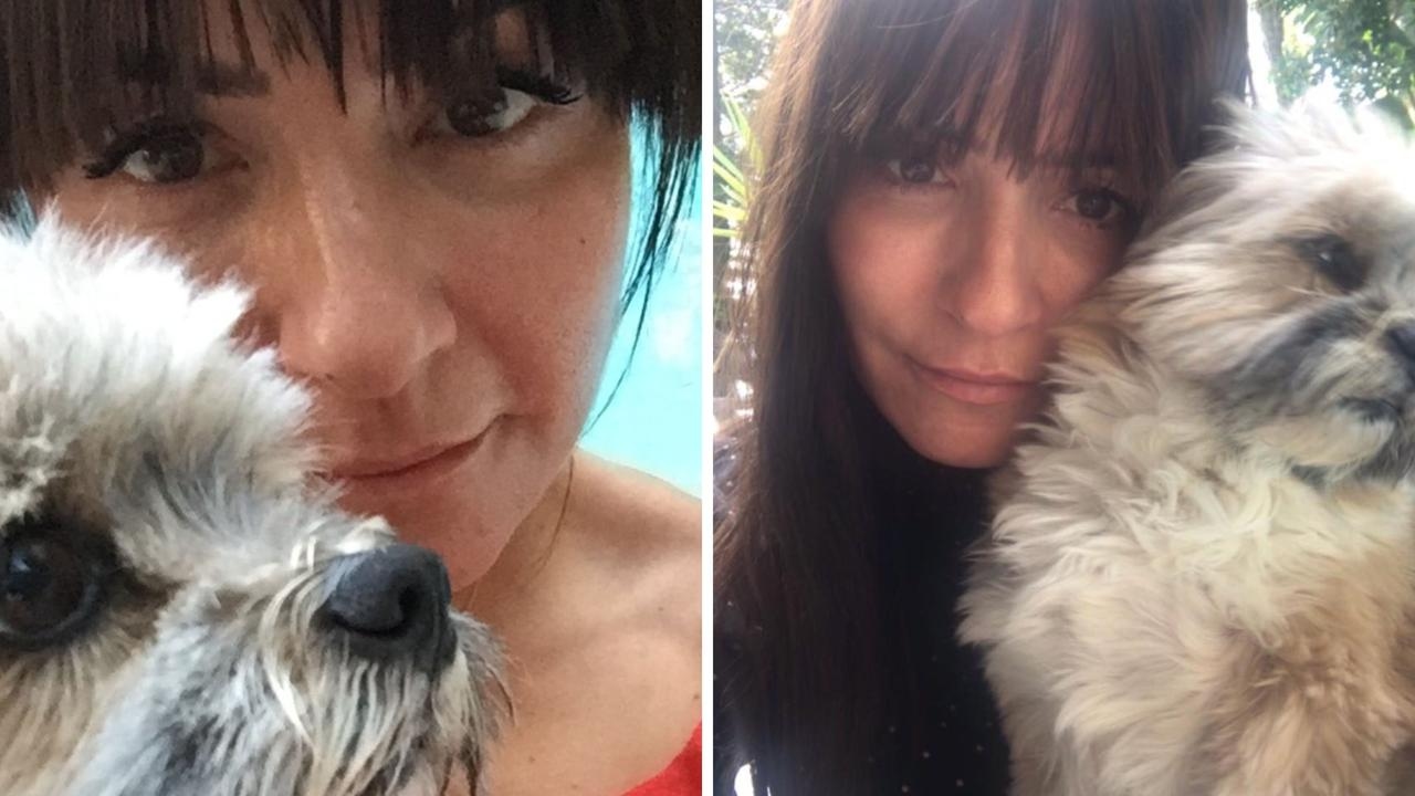 Staffy owner ordered to pay more than $100k over ‘violent and terrifying' attack