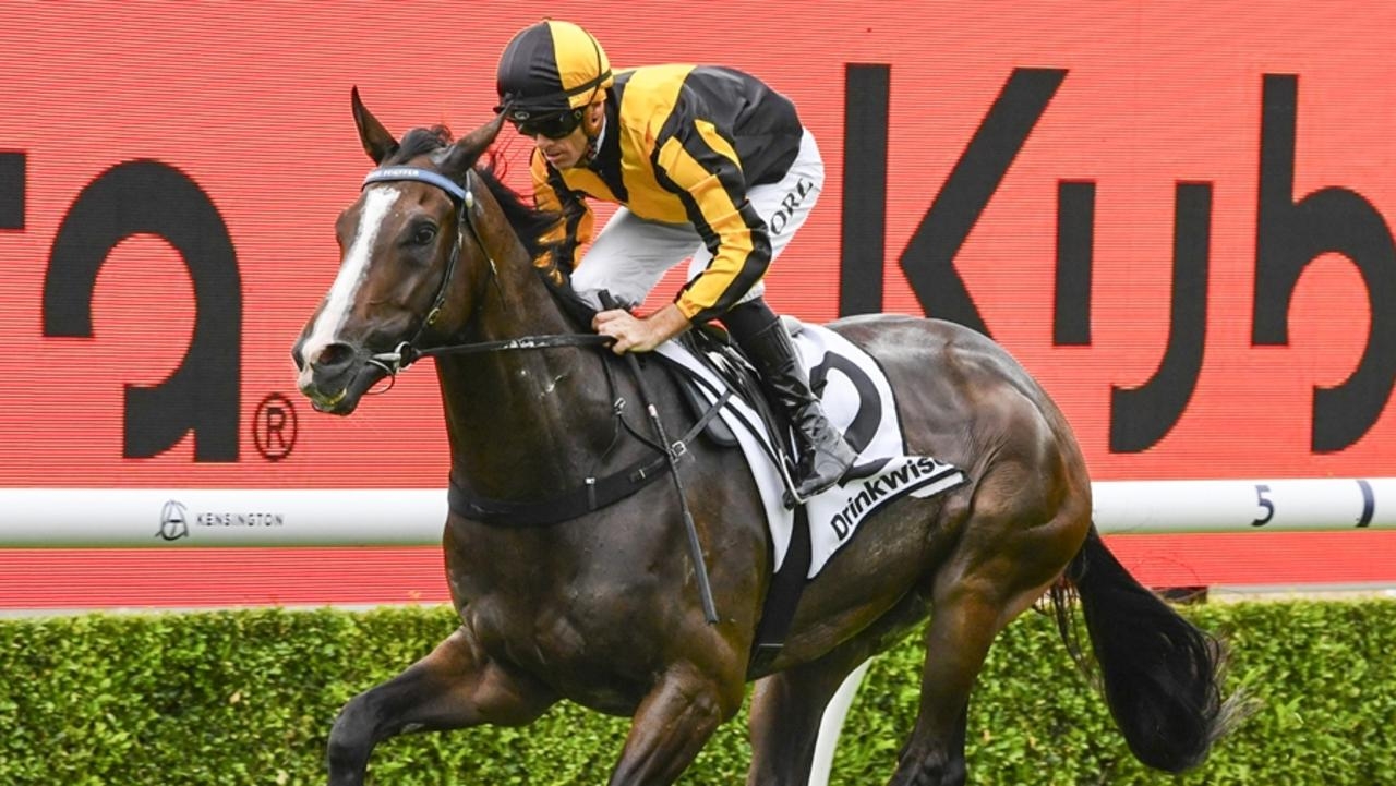 Barrier rogue Whinchat can bounce back to his best in 2025 Civic Stakes at Royal Randwick