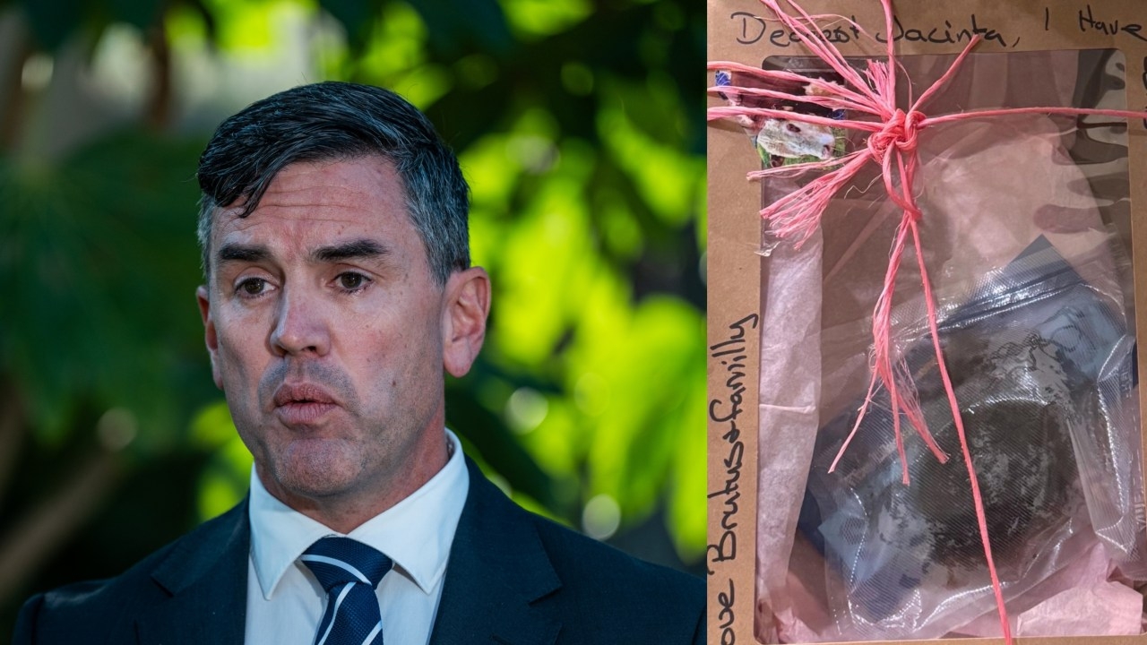'Farmers are angry': Brad Battin refuses to condemn Liberal MPs after cow manure left at Premier Jacinta Allan's door