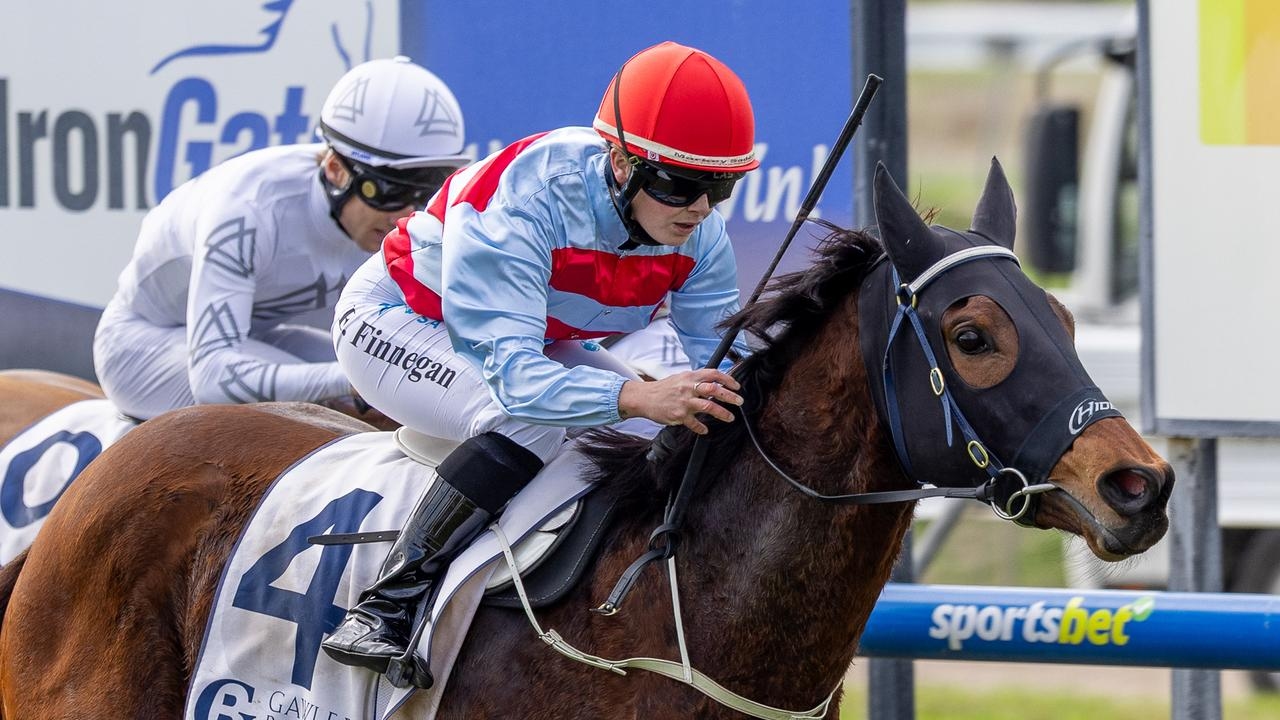 Bootlegger leads the local hopes in Group 3 Sires' Produce Stakes at Morphettville Parks