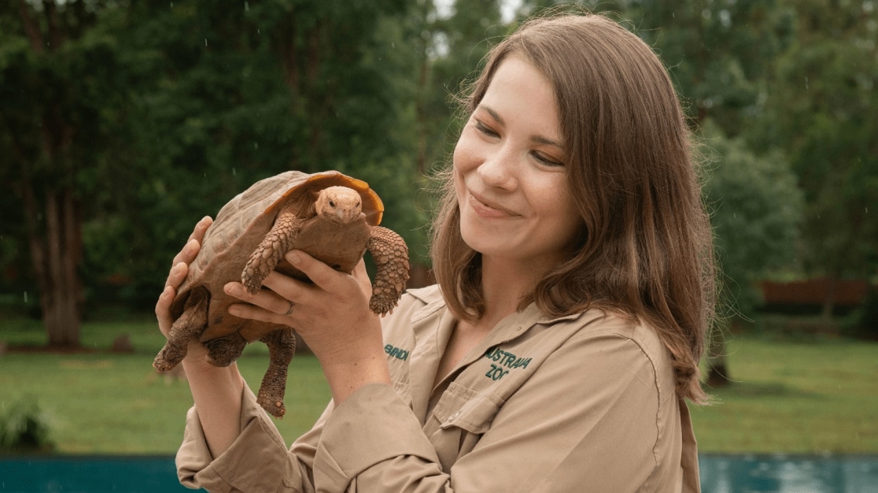 Bindi Irwin shares sad update on 'crippling' endometriosis journey
