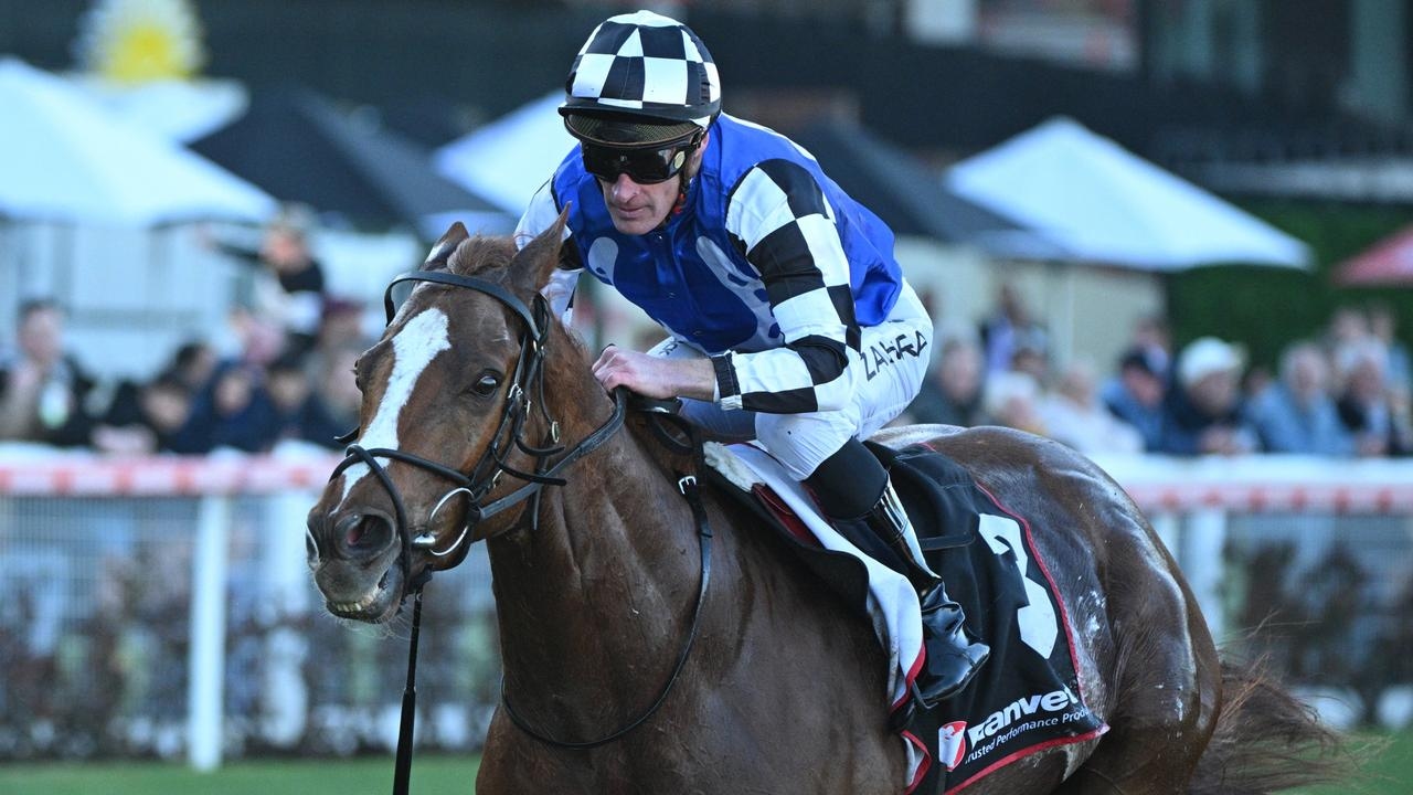 Ciaron Maher stayer makes Melbourne Cup statement after blistering Travis Harrison Cup win